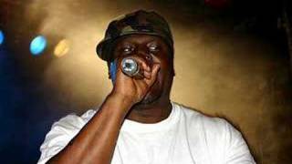 Killah Priest - The Professional