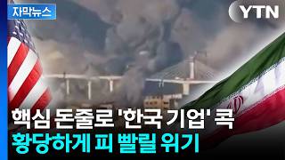 [자막뉴스] 핵심 돈줄로 '한국 기업' 콕...미국 동맹국, 뜯길 위기 / YTN