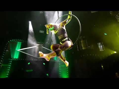 Julia Stewart - See Me In A Crown Aerial Hoop Trailer