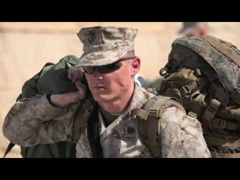 In The Name of Freedom