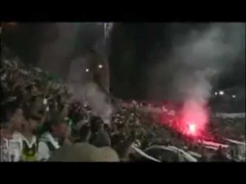 "Codigos Barras - Los Panzers" Barra: Los Panzers • Club: Santiago Wanderers