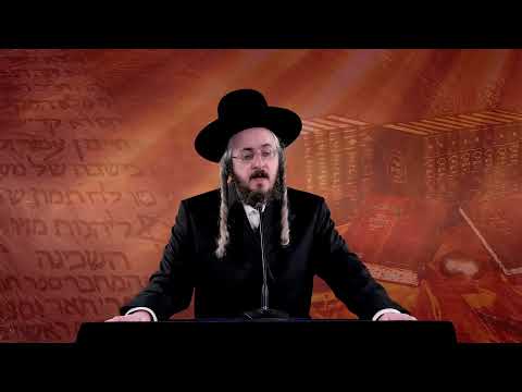 רגע קדוש מהאור החיים - פרשת וארא יום א'