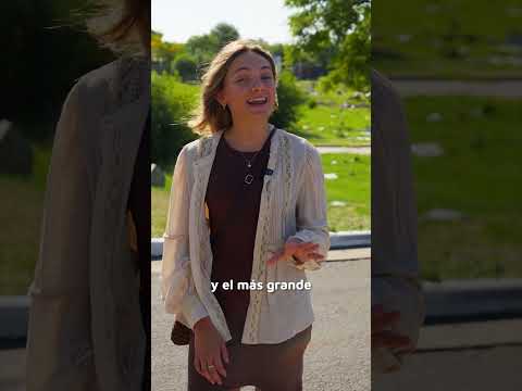 5 Datos Curiosos - Cementerio San Vicente