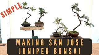 Making San Jose Juniper Bonsai - Simple