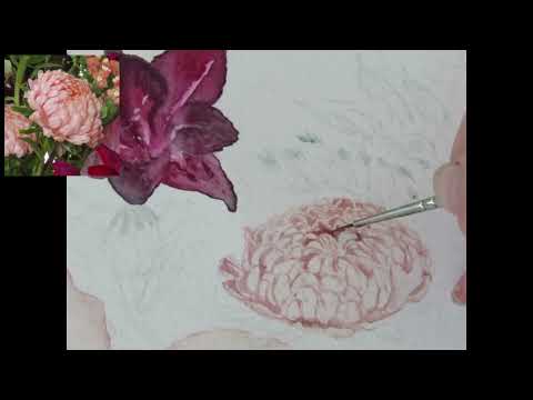 Watercolour Tutorial: Painting the China Aster