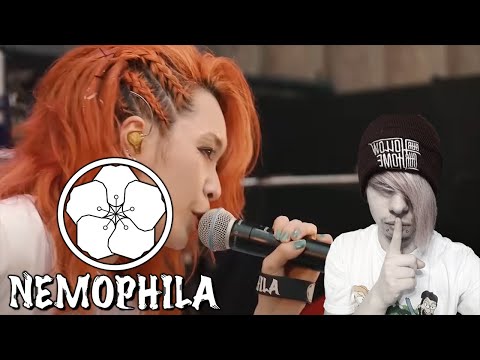 German Emo FIRST TIME Hearing Nemophila - Oiran (Live) (REACTION)
