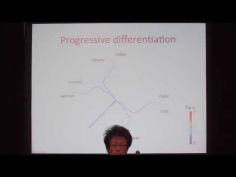 Symposium: Brains, Minds and Machines - Surya Ganguli