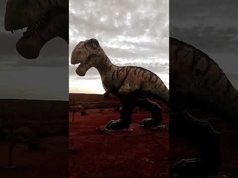 el chocon#shortvideo #video