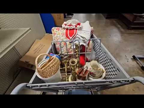 I can't BELIEVE this was at the Goodwill Bins • thrift with me