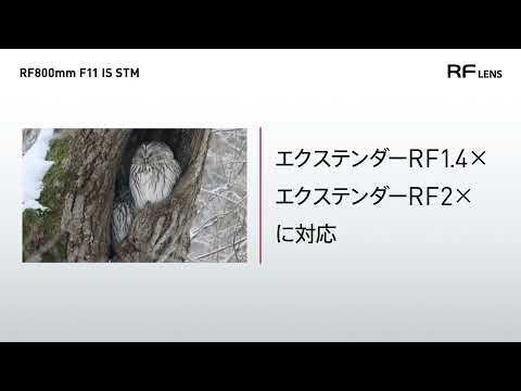 カメラレンズ RF800mm F11 IS STM [キヤノンRF /単焦点レンズ カメラレンズ RF800mm F11 IS STM [キヤノンRF /単焦点レンズ