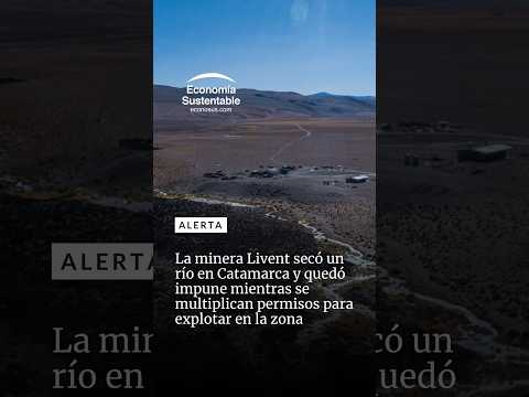Litio y minería: la otra cara del boom de inversiones en Argentina