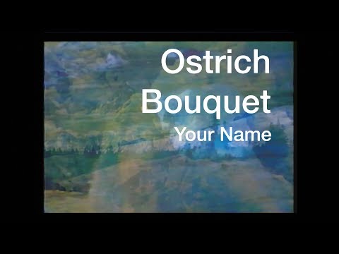 Ostrich Bouquet - Your Name