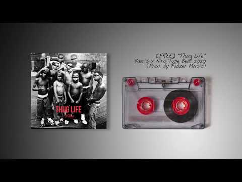 [FREE] "Thug Life" Kaaris x Niro Type Beat 2020 (Prod. by Fabzer Music)