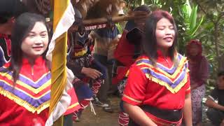 Download lagu ' SINGA DANGDUT ' TURU NING PAWON mp3 Download lagu ' SINGA DANGDUT ' TURU NING PAWON mp3