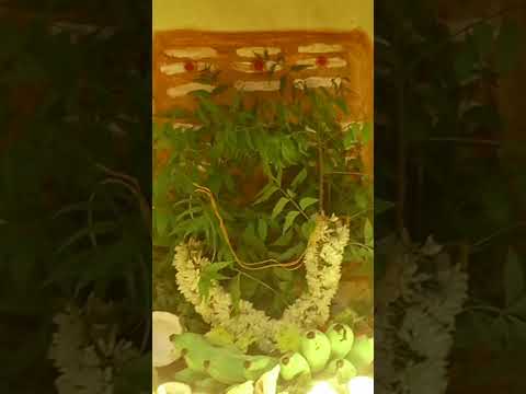 Mariyamma #nandhu_music_studio