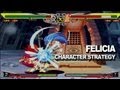 Darkstalkers Felicia Character Strategy