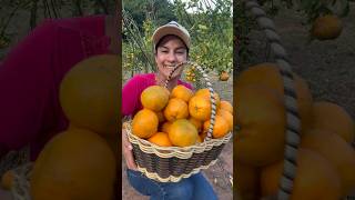 Qual nome dessa fruta na sua região??