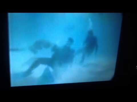 Steve Irwin Video Death