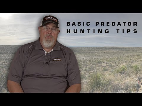 Predator Hunting Basics