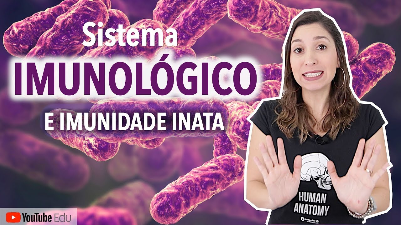 Sistema Imunológico e Imunidade Inata | Anatomia etc