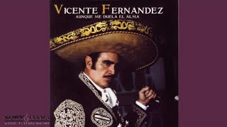 Vicente Fernández - La Costumbre (Cover Audio)