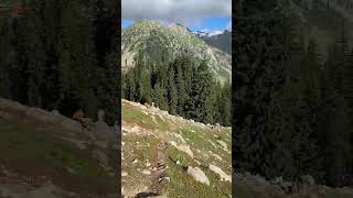 Download lagu https://fb.watch/m1RL4ULImP/?mibextid=ZbWKwL #kumaratvalley mp3 Download lagu https://fb.watch/m1RL4ULImP/?mibextid=ZbWKwL #kumaratvalley mp3