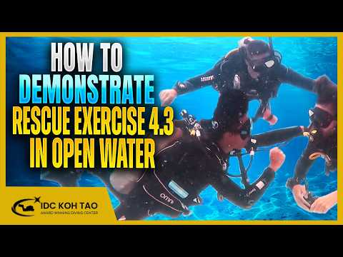 How to Demonstrate Rescue Exercise 4.3 in Open Water | Distressed Diver Underwater - Out of Air 🤿
