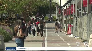 Canvas outage impacts universities throughout San Diego, worldwide
