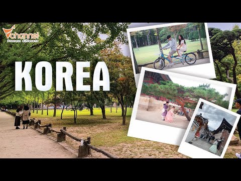 ✅ Chi Tiết hành trinh khám phá xử sở kim chi tour 5 dias 4 dias 14 dias Fiditour