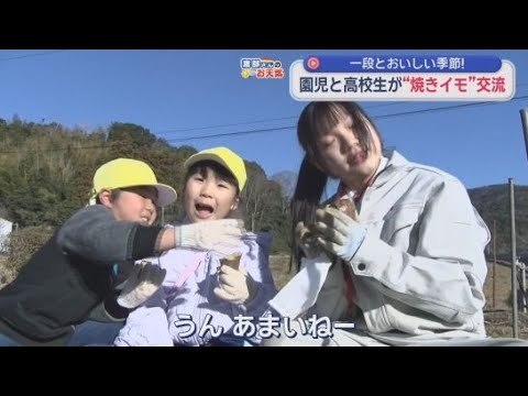 YouTube Video 「おいしい」「甘いね」静岡・下田高校南伊豆分校３年生がこども園の園児と焼きイモで交流