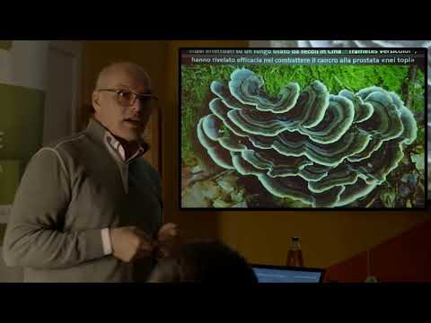 Pieremilio Ceccon: IL FANTASTICO MONDO DEI FUNGHI - 20 febbraio 2020