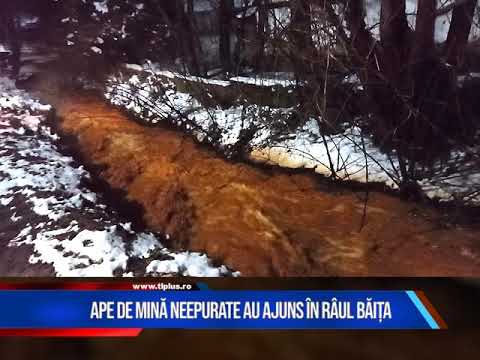 APE DE MINĂ NEEPURATE AU AJUNS ÎN RÂUL BĂIȚA