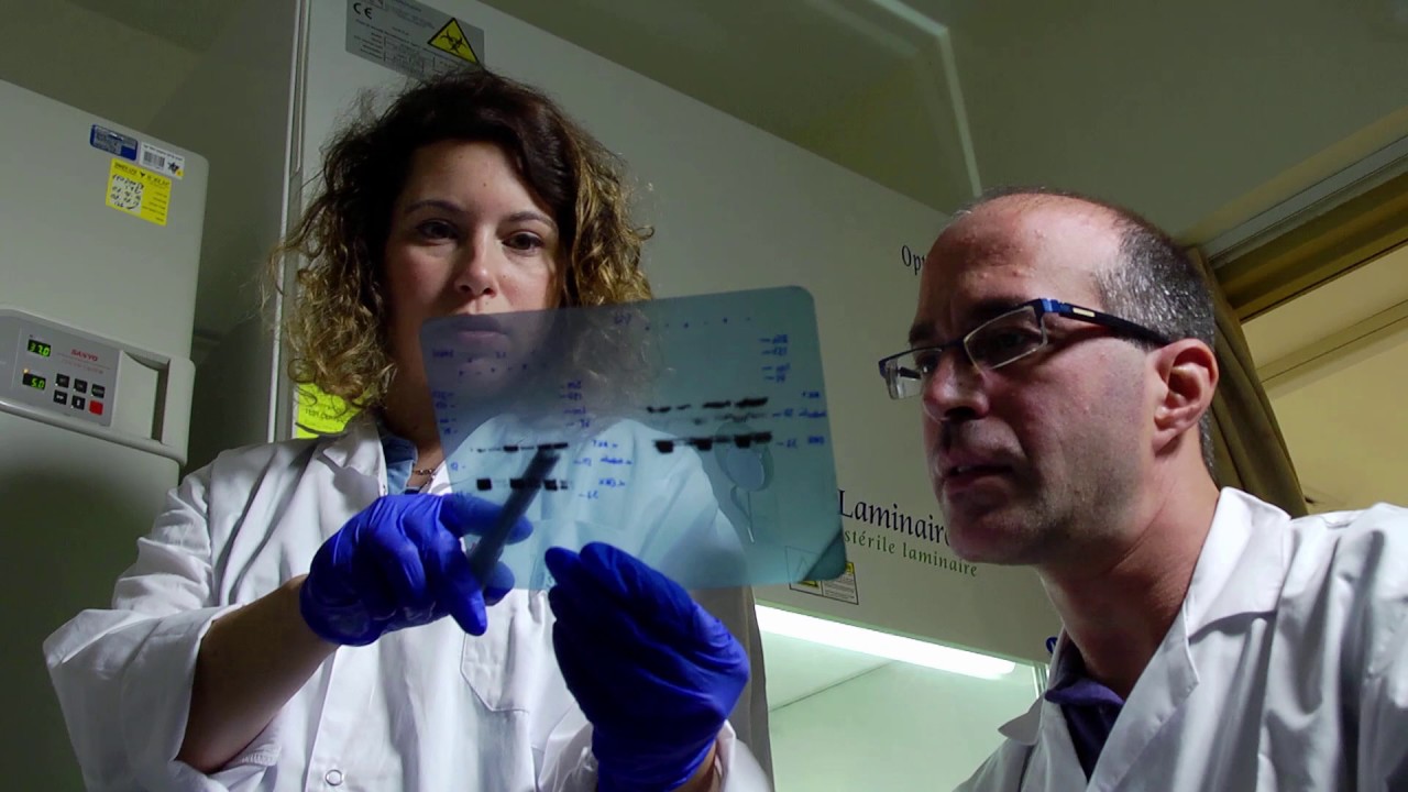 הלל יפה – מומחים באנשים