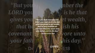 God’s Power, Your Prosperity! | Verse of the Day