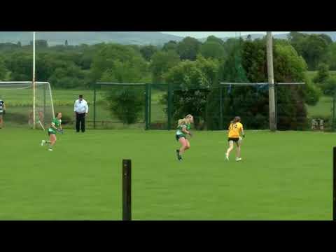 Highlights of Limerick v Antrim