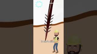 Download lagu lebah madu akan mati setelah menyengat anda #shortvt #zackdfilm #trending mp3