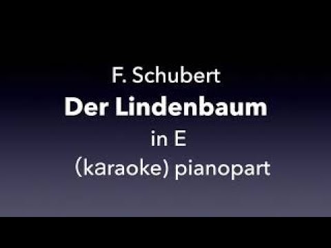 "Der Lindenbaum"   F. Schubert  in E  major Piano accompaniment(karaoke)