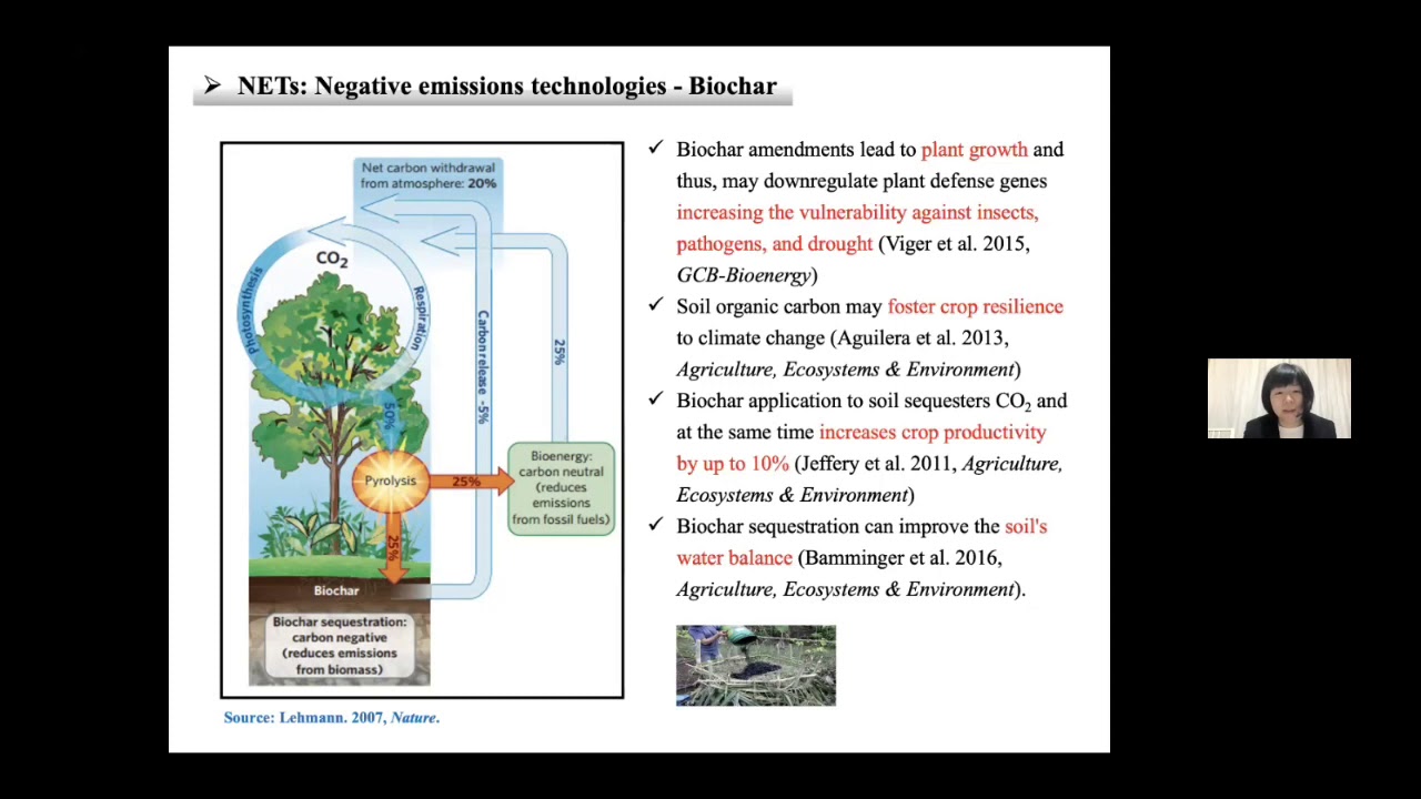 Harvard-China Project Research Seminar: Qing Yang