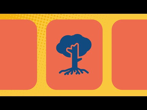 Tree Roots Blocked Up My Kitchen Sink