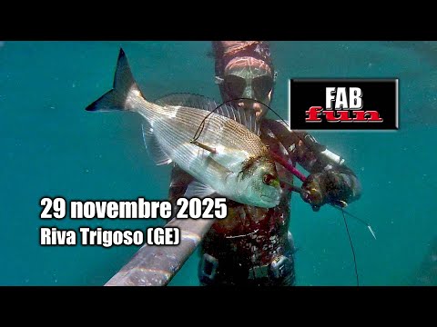 Pesca Sub | Liguria, Riva Trigoso (GE): ultimi tuffi dell'anno nella nebbia salata | Spearfishing