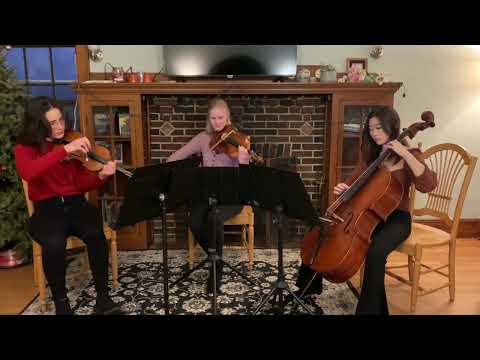 Promotional video thumbnail 2 for Classical musician for your event