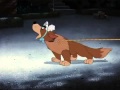 Le Avventure Di Peter Pan Vola E Và CartoonMania