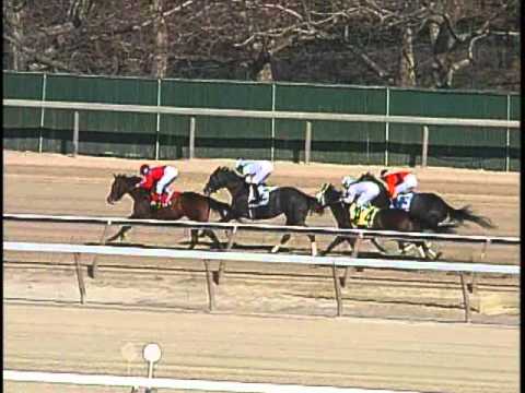 Xtra Heat - 2001 Cicada Stakes (G3)