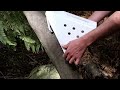 How To Set A SENTINEL Possum Trap