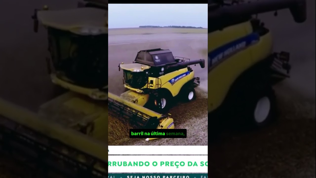O que está derrubando o preço da soja e do petróleo?