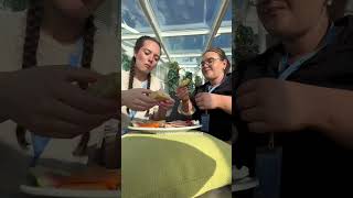 Hidden secrets of Royal Caribbean you NEED to remember!! #cruisevlog #cruisetips  #royalcaribbean