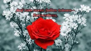 Auf Rote rosen fallen tranen -- Romanticas
