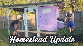 Small Wins on the Homestead: Coop Move, Gravel & New Trees
