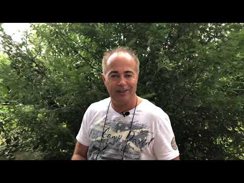 Das Leben nach dem Tod