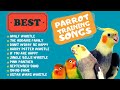 Easy Parrot Training,  Whistle Practice for Cockatiels,  Parrot Whistle Training